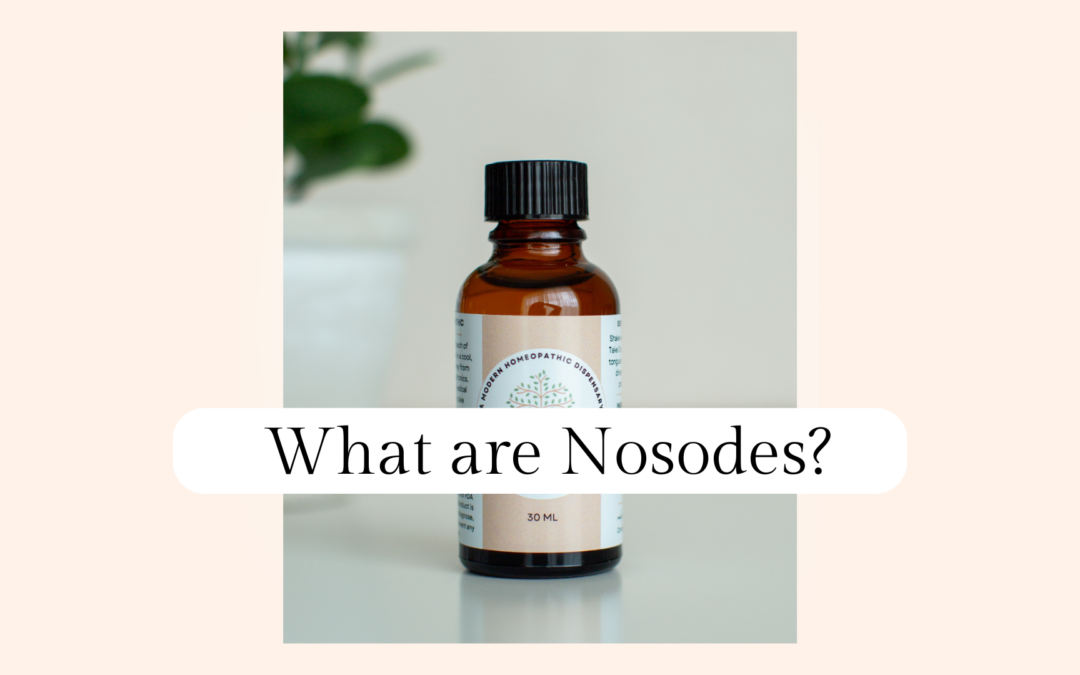 Introduction to Nosodes