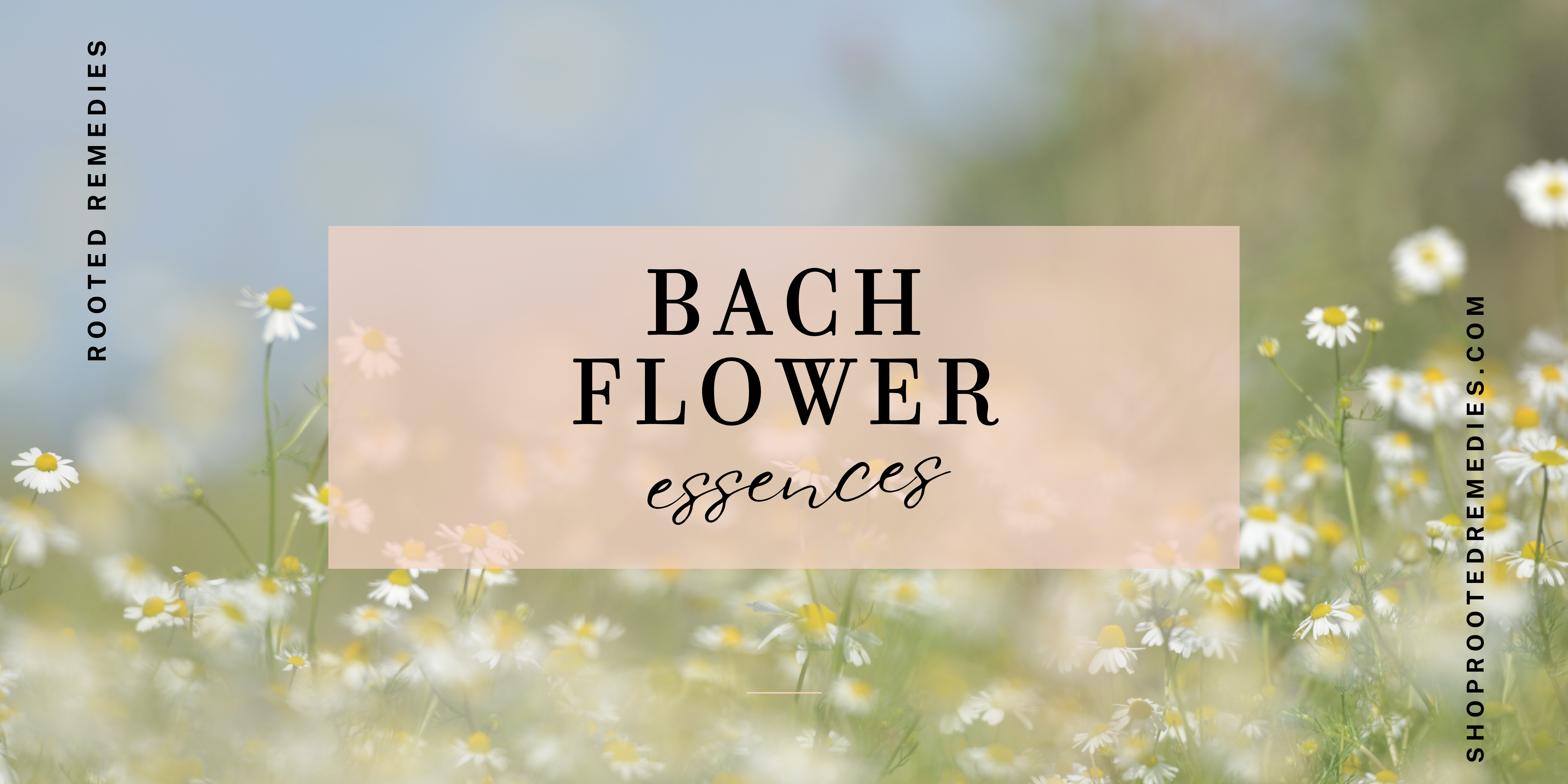 Bach flower
