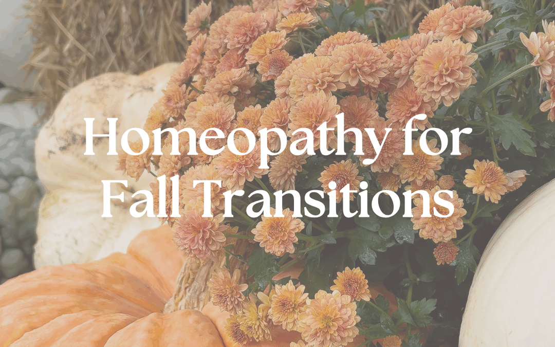 Homeopathy for Fall Transitions