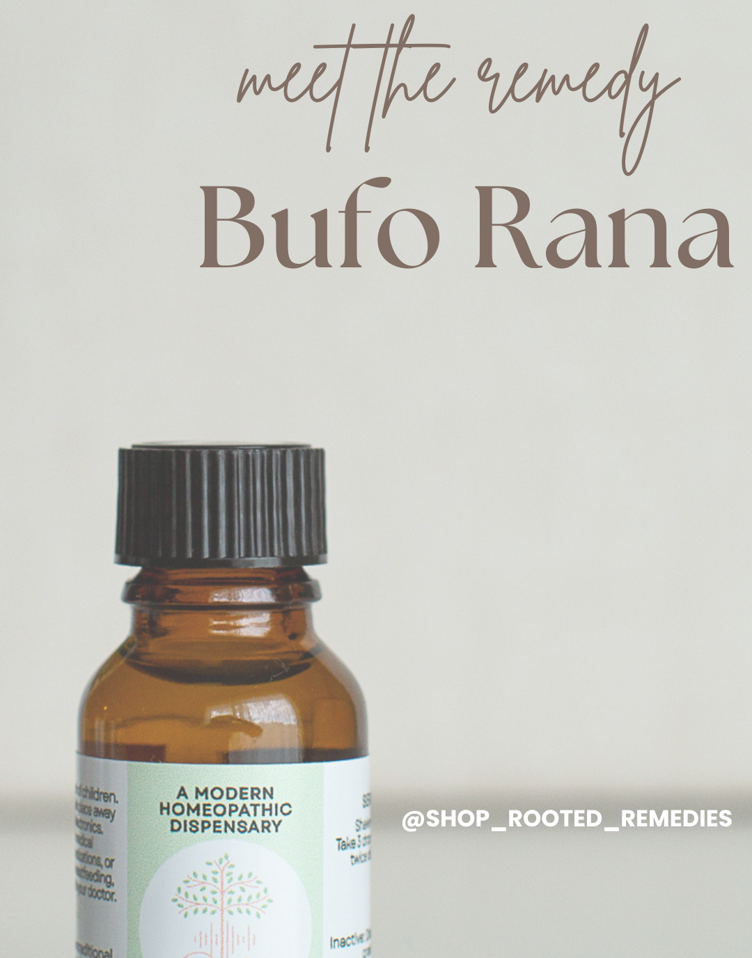 Meet the Remedy: Bufo Rana